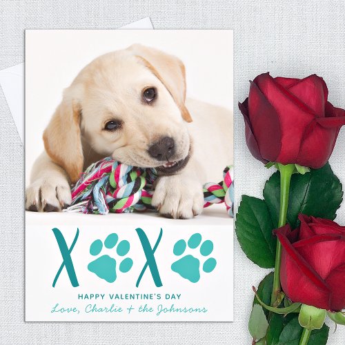 Valentines Day XOXO Cute Puppy Dog Photo Holiday Card