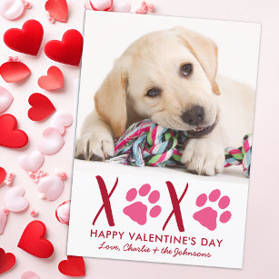 Valentines Day XOXO Cute Puppy Pet Dog Photo Holiday Card