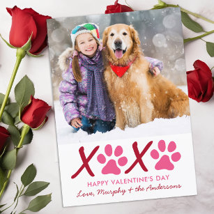 Valentines Day XOXO Modern Puppy Dog Pet Photo Holiday Card