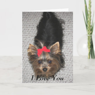 Valentines Day- Yorkie I love you Holiday Card