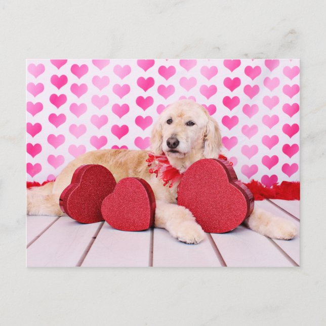 Valentines - GoldenDoodle - Maggie Holiday Postcard (Front)