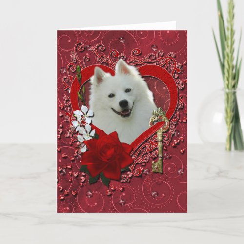 Valentines _ Key to My Heart _ American Eskimo Holiday Card