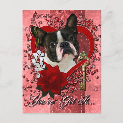 Valentines _ Key to My Heart _ Boston Terrier Holiday Postcard