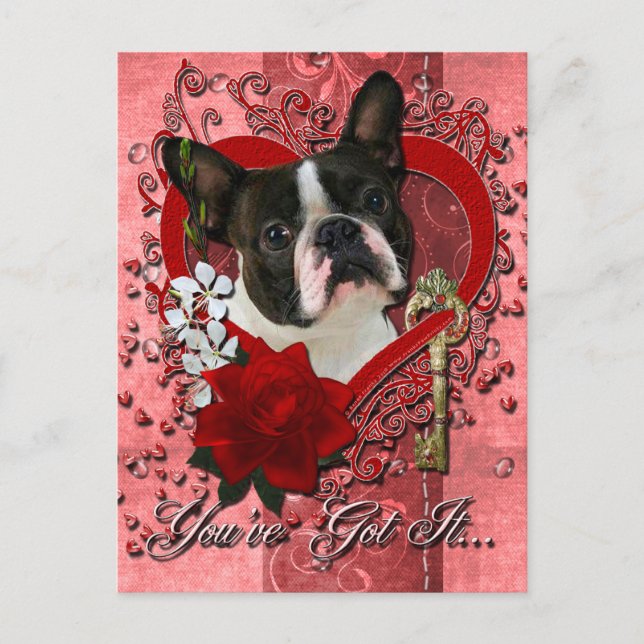 Valentines - Key to My Heart - Boston Terrier Holiday Postcard (Front)