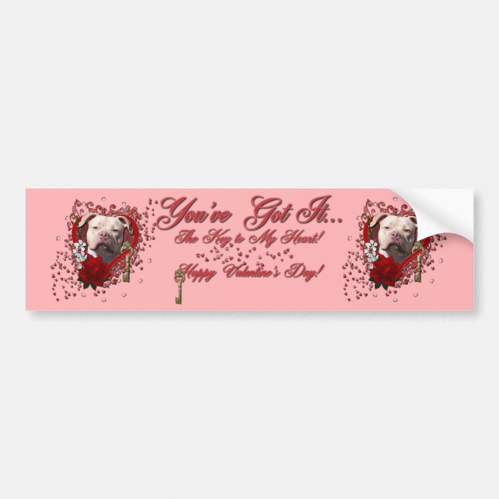 Valentines   Key to My Heart   Pitbull Jersey Girl Bumper Stickers