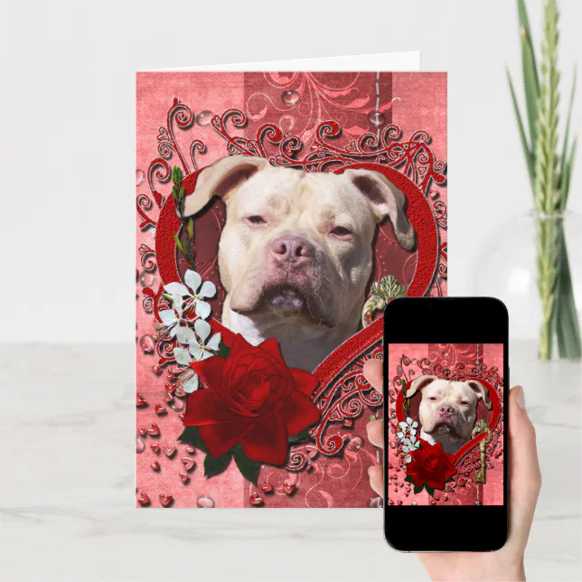 Valentines - Key to My Heart - Pitbull Jersey Girl Holiday Card | Zazzle