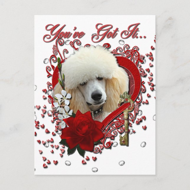 Valentines - Key to My Heart - Poodle - Apricot Holiday Postcard (Front)