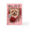 Valentines - Key to My Heart - Yorkshire Terrier
