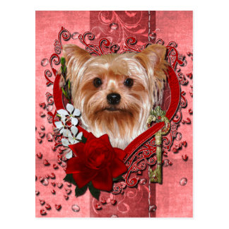Yorkie Valentines Day Cards | Zazzle