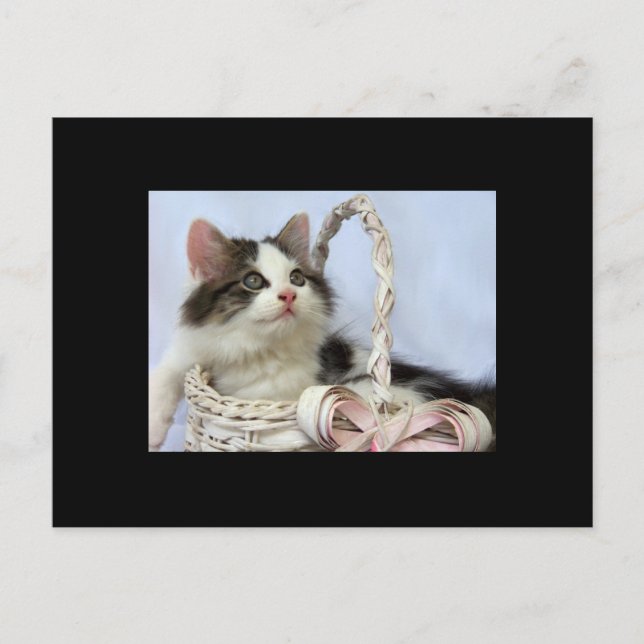 Valentine's Kitten ACEO Art Trading Card (Front)