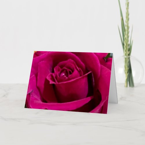 Valentines Lovely Rose Close_up  Foil Greeting Card