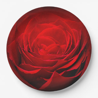 Valentine's Paper Plate-Stunning Painted Red Rose Paper Plates