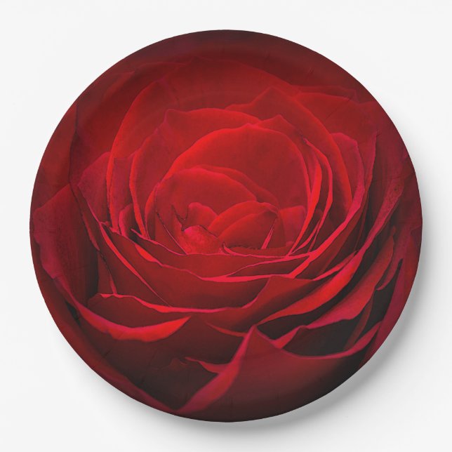 Valentine's Paper Plate-Stunning Painted Red Rose Paper Plates (Front)