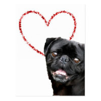 Valentine's pug dog postcard