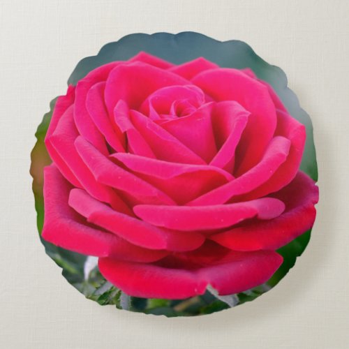 Valentines Red Rose Photography Romantic Round Pillow