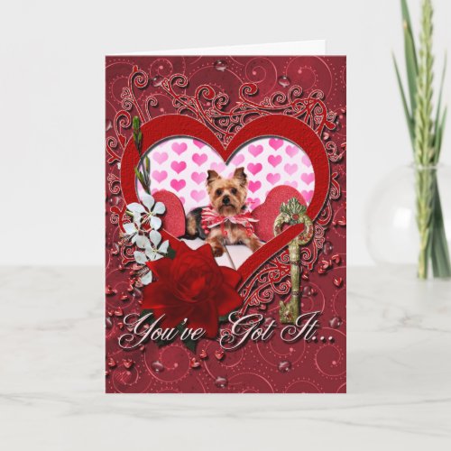 Valentines _ Yorkie _ Pixie Holiday Card