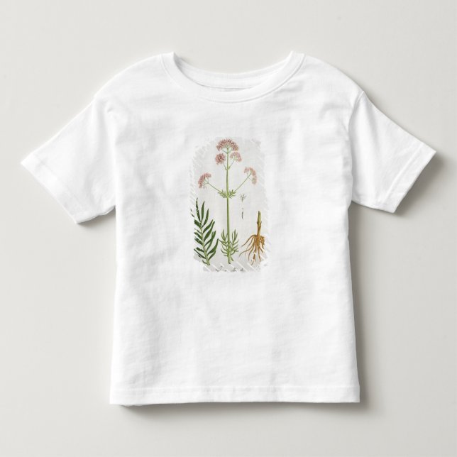Valerian from 'Phytographie Medicale' by Joseph Ro Toddler T-shirt (Front)