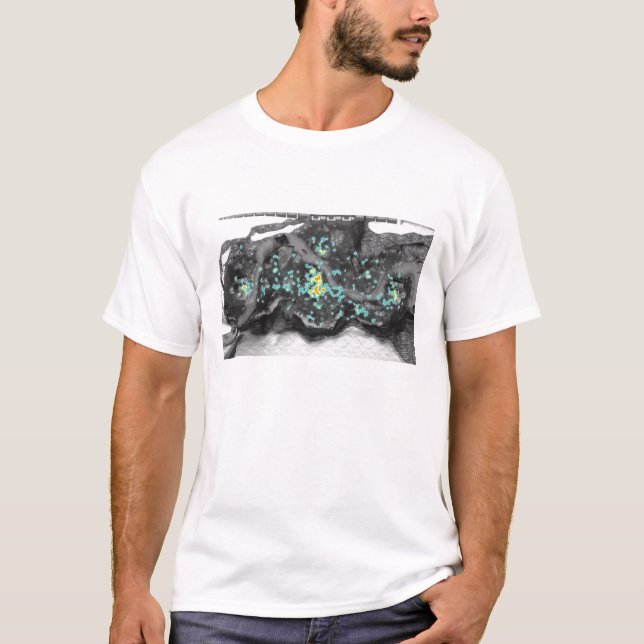 Valhalla Heatmap T-Shirt (Front)