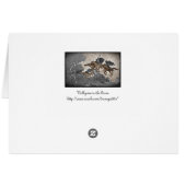 Valkyries in the Storm (Back Horizontal)