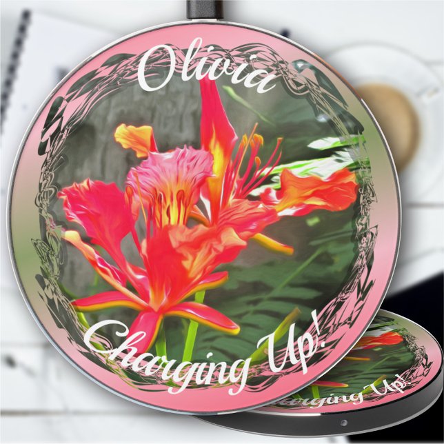 Vallarta Beauty Charging Up! 1583 Wireless Charger (Creator Uploaded)