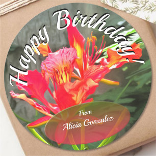 Vallarta Birthday Beauty 1583 Classic Round Sticker