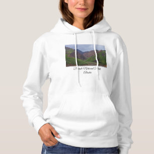 Valley At Denali's Toklat River Hoodie