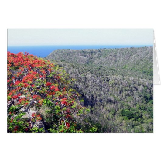 valley bacunayagua cards (Front Horizontal)