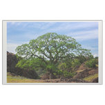 Valley Oak Tree Fabric