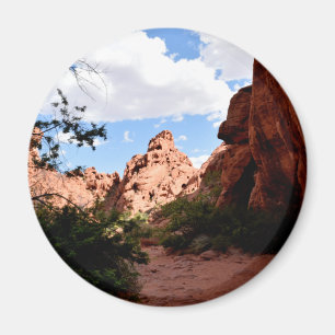 Valley of Fire Nevada Magnet