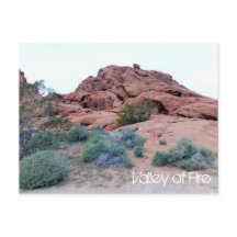 Valley of Fire Postcard