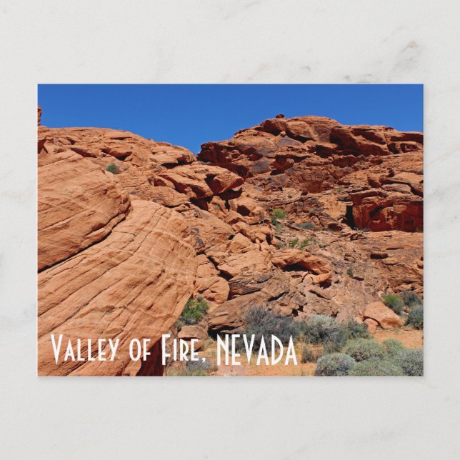 Valley of Fire Postcard! Postcard (Front)