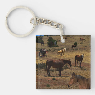 Valley Of The Horses, Keychain