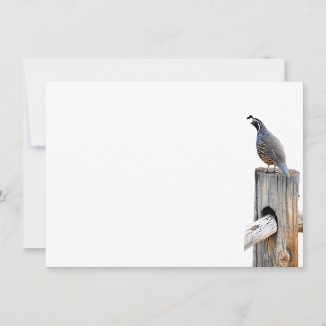 Valley Quail Photo Stationery Flat Note Card (Front)