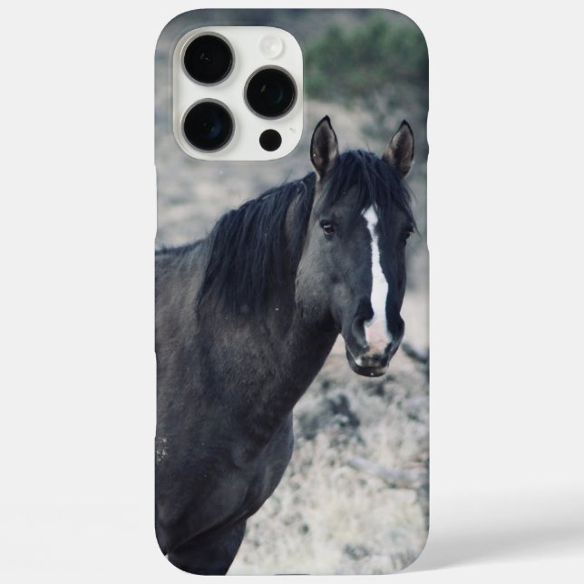 Valor Case-Mate iPhone Case (Back)
