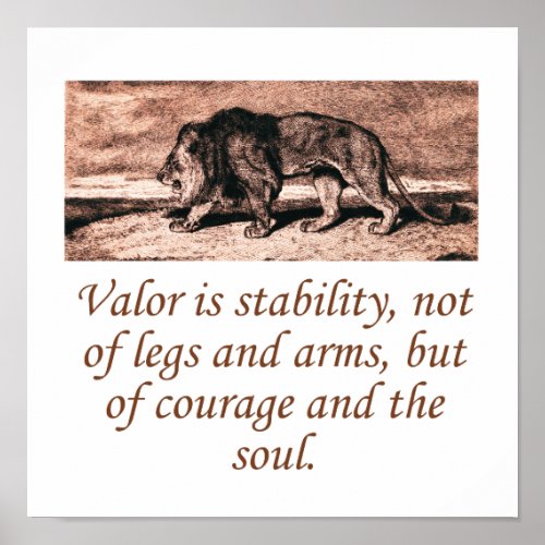Valor Is Stability Poster