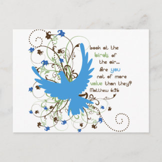 Value of Birds Postcard