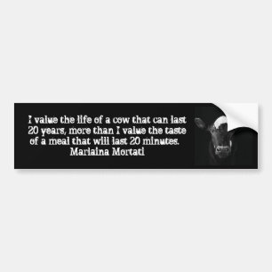 Values Black Cow Bumper Bumper Sticker