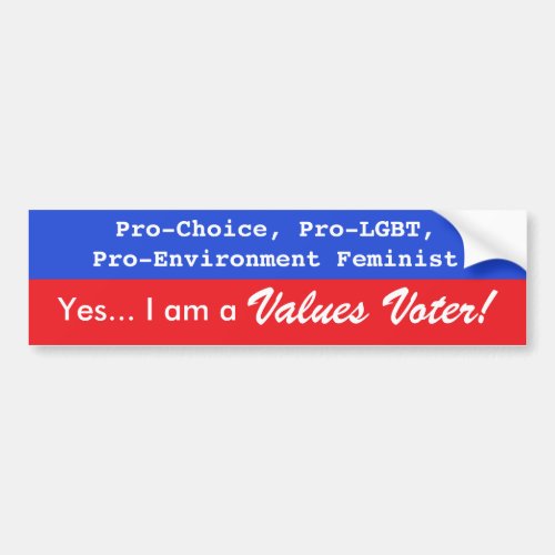 Values Voter Bumper Sticker