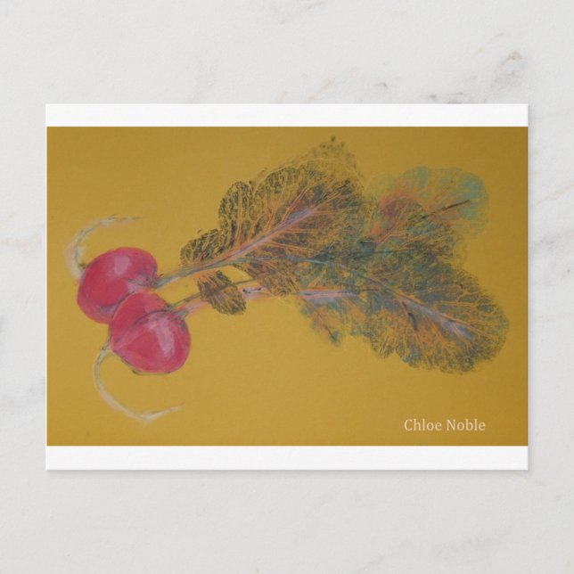 Valya's Radishes Postcard (Front)