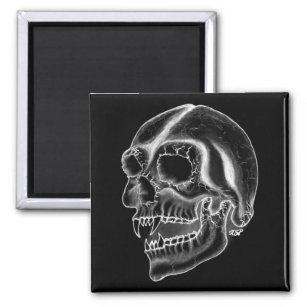 Vampir skull black and white design magnet