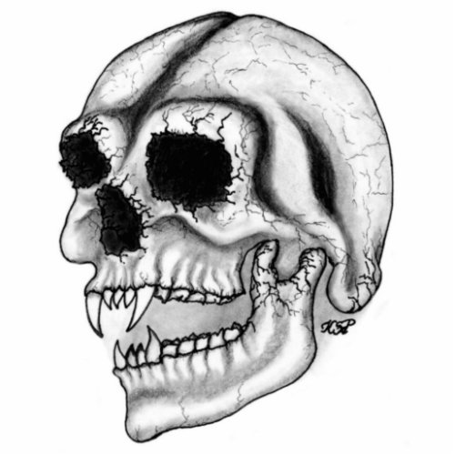 Vampir skull black and white design statuette