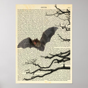 Vampire Bat, Gothic, Dracula, Bat, Nature Poster