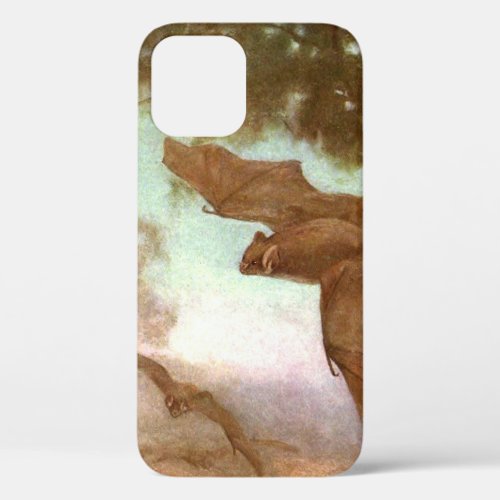 Vampire Bats by CE Swan Vintage Wild Animals iPhone 12 Case