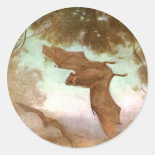 Vampire Bats by CE Swan, Vintage Wild Animals Classic Round Sticker