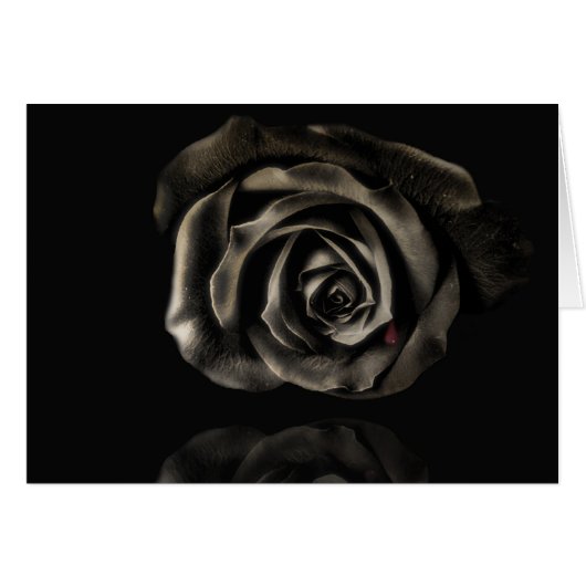 Vampire Black rose Cards (Front Horizontal)