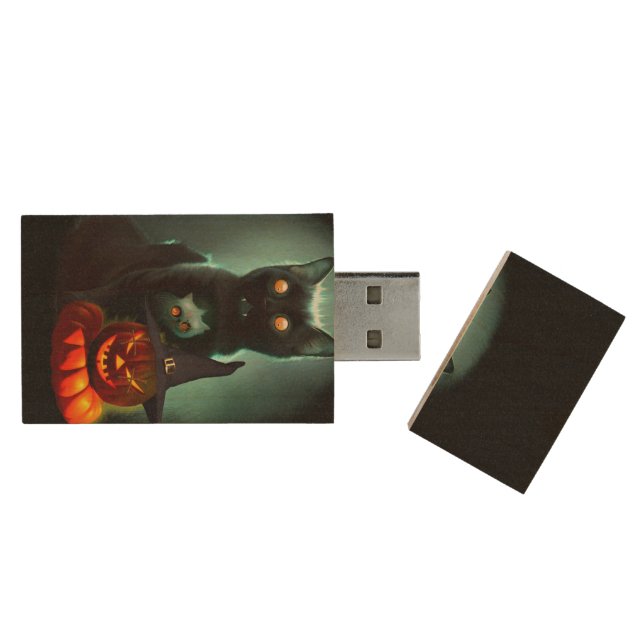 Vampire Cat and Wizard Pumpkin Halloween Surreal  Wood Flash Drive (Opened)