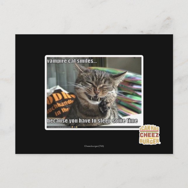 vampire cat smiles postcard (Front)