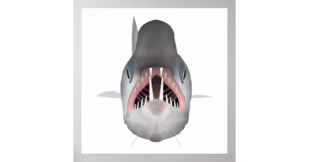Vampire Fish - Fish Head Poster | Zazzle