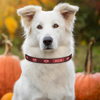 Vampire Mouth With Red Lips Illustration & Name Pet Collar