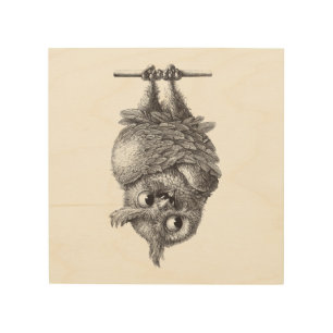 Vampire Owl Drawing Wood Wall Art